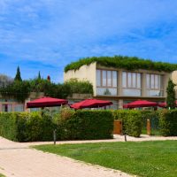 Icon Collection, al via due giornate di recruiting