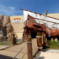 Gardaland Sea Life Aquarium, al via un percorso educativo con Nintendo