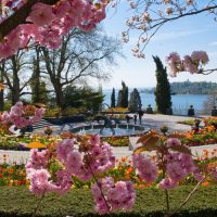 Primavera sul Lago di Costanza fra attività culturali e outdoor