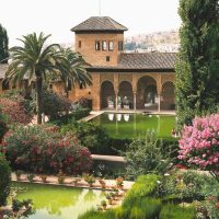 La Spagna della natura è il Paese ospite dell’edizione 2026 di Orticola