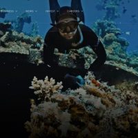 L'Arabia Saudita verso una revisione del progetto Neom