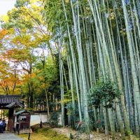 Kyoto sceglie ancora Open Mind Consulting per la rappresentanza in Italia