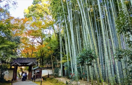 kyoto