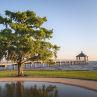 La Louisiana oltre New Orleans: un viaggio wild nel cuore del Sud più vero