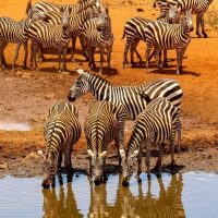 L'estate di Glamour alla scoperta di Kenya, Zanzibar e Namibia