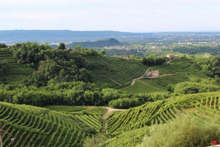https://www.travelquotidiano.com/wp-content/uploads/2026/05/danifab-italy-1331284-450x300.jpg