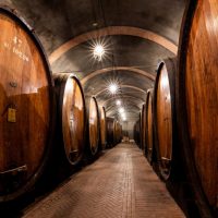 Enoturismo, cresce il business in cantina: oltre il 60% aumenta le vendite dirette