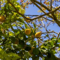 Dimensione Sicilia prosegue nel percorso Travelife
