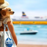 Corsica Sardinia Ferries, più attenzione e più spazi dedicati ai pet
