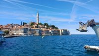 Rovigno_Istria