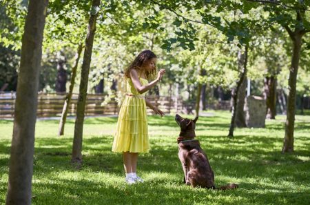 Bluserena lancia gli "happy dog", nuovi servizi per gli ospiti in vacanza con il cane