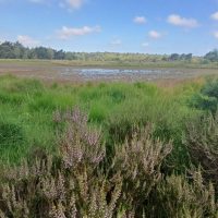 Fiandre, sei nuovi itinerari ampliano le Flanders' Finest Hiking Routes