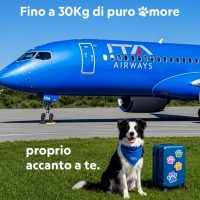 Ita Airways: in vendita da oggi e operativo dal 3 agosto il servizio 