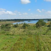 paesaggi lungo il trekking nella Kalmthoutse Heide