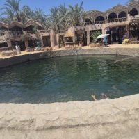 Oasi di Siwa: oltre i grandi classici dell’Egitto