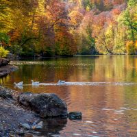 Armenia, autunno tra foliage, tradizioni vinicole e outdoor