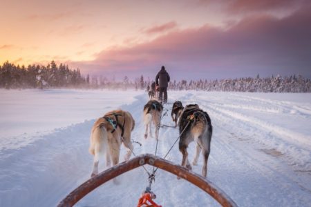 La nuova programmazione di DreamPacker guarda alla fine del 2026 e al 2027 con destinazioni diverse per ritmo, budget e stile di viaggio