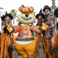 MagicLand festeggia Halloween: l'evento fino al 1° novembre
