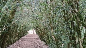 Sardegna: meta del 2022