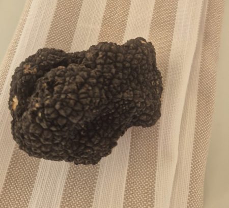 Acqualagna, la capitale del tartufo si rivela ai visitatori internazionali