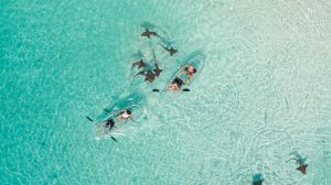 Bahamas: nuovo focus su proposte esperienziali e incentivi al trade