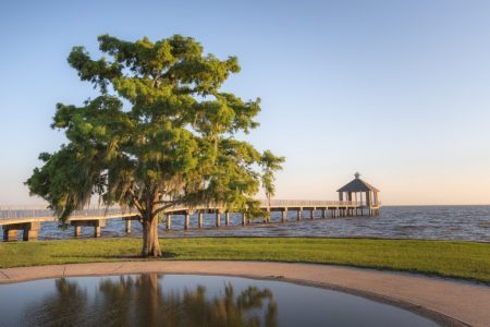 La Louisiana oltre New Orleans: un viaggio wild nel cuore del Sud più vero