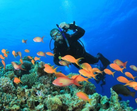 Anguilla nel segno della sostenibilità: partita la spedizione “Beyond the Reef”