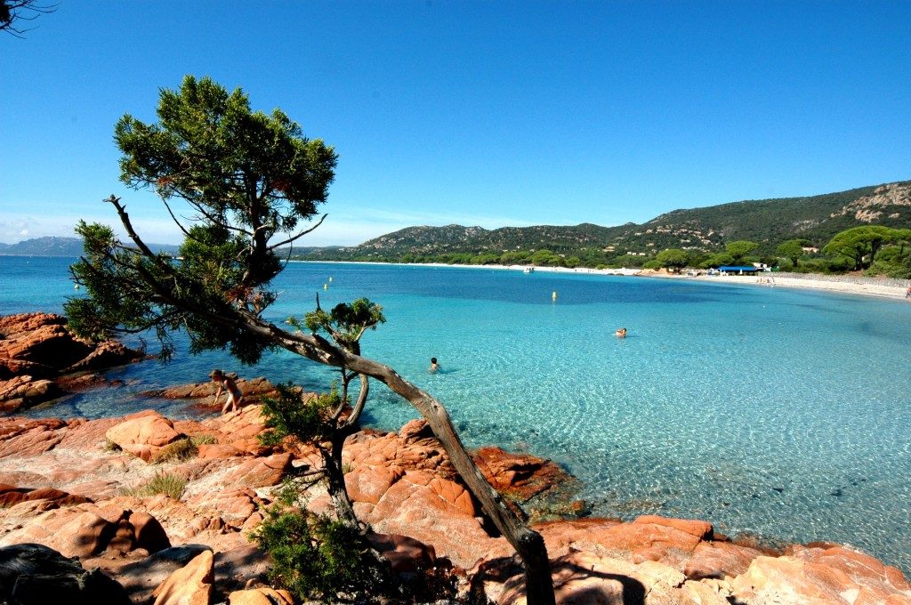 Travered, la Corsica da specialisti