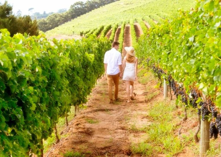 Trend crescente per l’enoturismo in Toscana