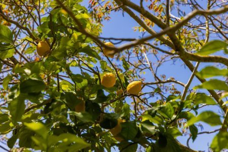 Dimensione Sicilia prosegue nel percorso Travelife