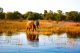 Zambezi Cruise & Safaris, nuova nave di lusso sullo Zambesi