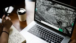 Altreculture inaugura il nuovo sito e lancia il prodotto Piemunt