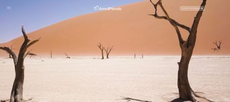 Amo il Mondo, Chiara Patanè: «Al via il nuovo sito emozionale»