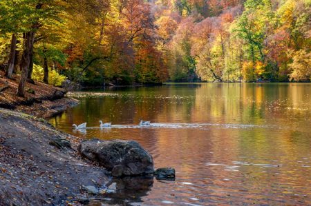 Armenia, autunno tra foliage, tradizioni vinicole e outdoor