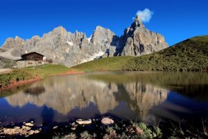 Nasce il ‘Consorzio Apt del Trentino’: focus su servizi, economie di scala e formazione