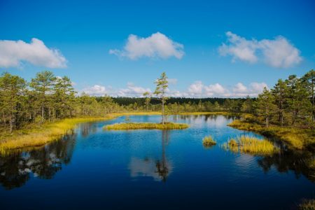 L’Estonia che sorprende: natura, cultura e innovazione al centro dei nuovi trend di viaggio