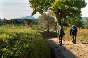 Regione Umbria: un libro su itinerari e cammini dedicati a San Francesco e San Benedetto