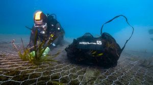 Area protetta Cinque Terre, avanza il progetto “green sea” per restituire vitalità all’ecosistema marino
