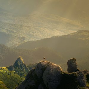 Creo, il nuovo operator di Pesaro, apre le vendite