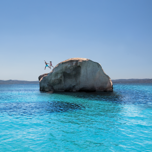 Delphina lancia i pacchetti “ospitalità più trasporto”