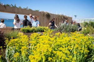 Genova Euroflora 2025, bilancio positivo con 200 mila presenze