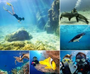 Evolution Travel rinnova il portale dedicato al diving