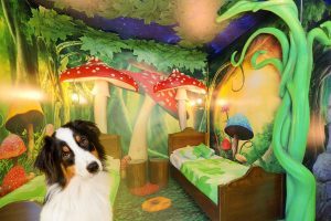 Gardaland Resort, un’offerta più Pet Friendly nella stagione 2021