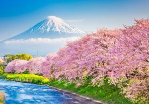 Guiness Travel: rotta a Oriente con Giappone, Cina e Corea