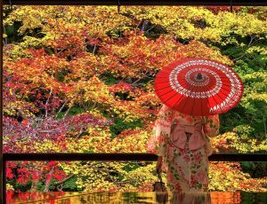 Mappamondo: aumentano le proposte per i viaggi di gruppo, sempre più richiesti