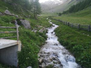 Val Senales: la tradizione secolare della transumanza, patrimonio immateriale dell’Umanità