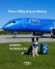 Ita Airways: in vendita da oggi e operativo dal 3 agosto il servizio “Large Dog On Board”