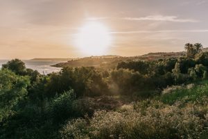 Al via dal 6 marzo l’ottava edizione della Mangia’s Academy dedicata ai dipendenti della compagnia