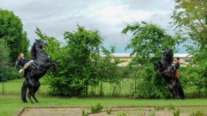 Marengo, gli eventi napoleonici come rilancio per cultura, turismo ed entertainment