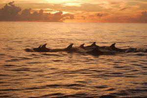 Le Comore di To Destinations tra escursioni, snorkeling, diving e relax sulla spiaggia